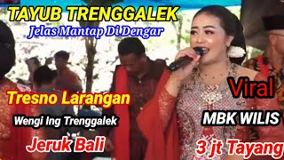 Download lagu TAYUB GLER ASLI TRENGGALEK✓TRESNO LARANGAN✓WENGI ING TRENGGALEK:JERUK BALI mp3 Download lagu TAYUB GLER ASLI TRENGGALEK✓TRESNO LARANGAN✓WENGI ING TRENGGALEK:JERUK BALI mp3