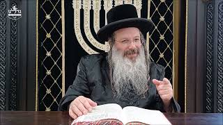 הרה"ג ר' שמעון שנייבלג שליט”א | דבר חינוך אקטואלי מהפרשה | פרשת פנחס | אידיש
