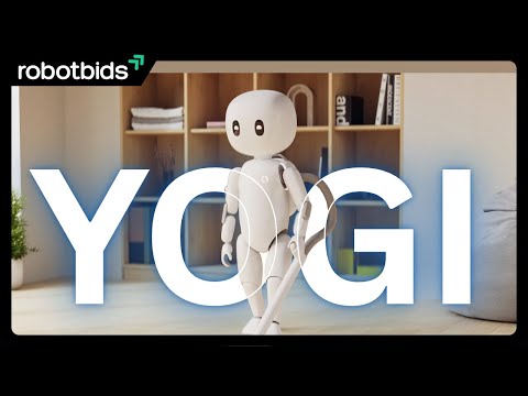 Yogi Review Video 1