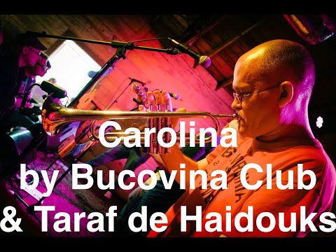 Live Trumpet Improv on "Carolina" by Bucovina Club & Taraf de Haidouks