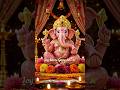 Ganesh Chaturthi Status Video Ganesh Chaturthi Whatsapp Status 2025 Ganesh Ganeshchaturthi Shorts