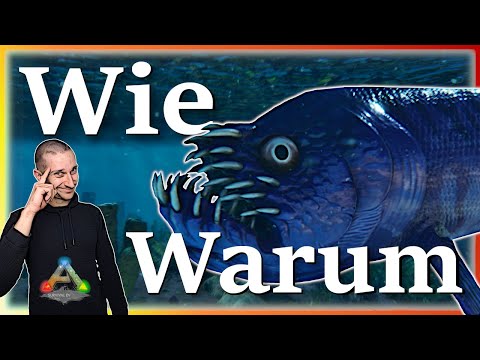 ARK Taming Guide | Xiphactinus zähmen & seine Fähigkeiten mit Humor