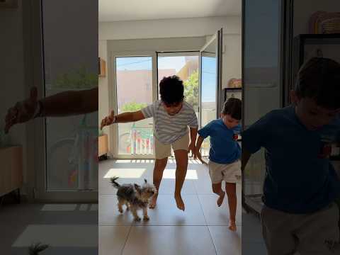 Νομίζω η κοκόνα κέρδισε 😂 #limniosfamily
