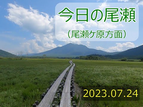 2023.07.24　今日の尾瀬（鳩待峠～見晴）