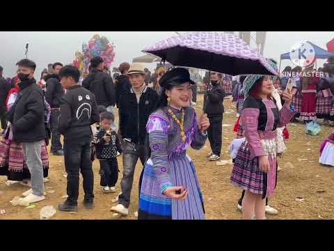 Nej hom zoo zoo nkauj