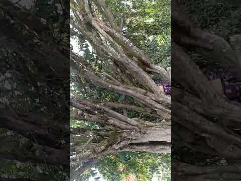 la unión antioguia♥️😍