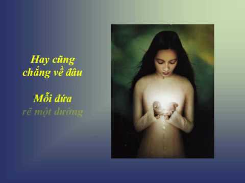 Buồn Thái Sơn không gieo Sheet - Thanh Long