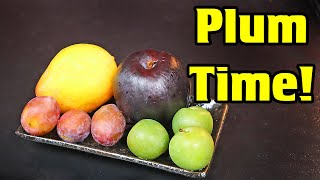 Plum
