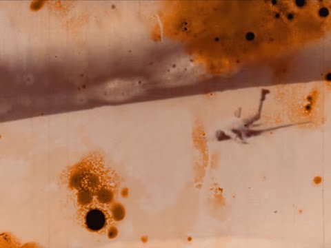 Holding Space - Nynke Laverman (Official Music Video)