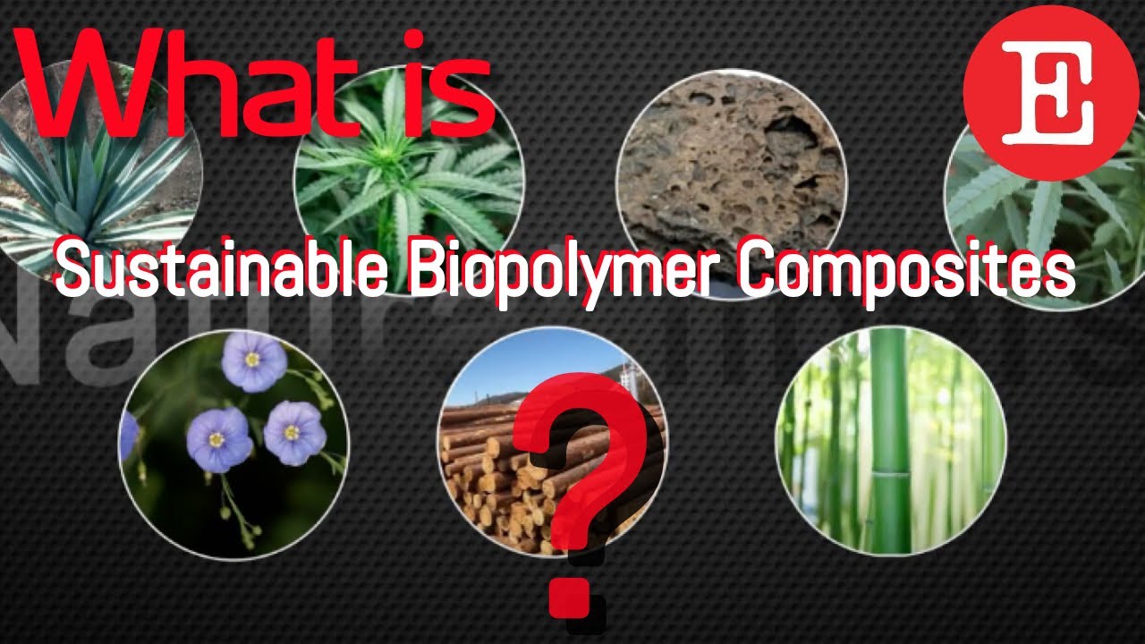【Chemistry & Materials Science】Production of Sustainable Biopolymer Composites
