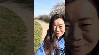 #shorts ワイン街道とアーモンドの小径 (Mandelpfad) 春の絶景ハイキング