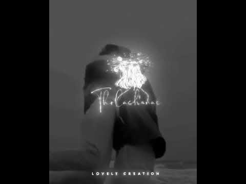 Love stadus ❤️❤️❤️