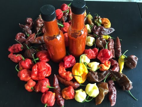 Making Hot Sauce Using The Hottest Peppers