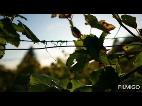 Tribute to Johnson master and Pathmarajan sir