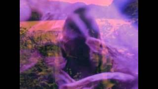 Rexxy  - Moment In Time