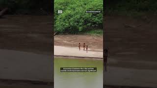 Download lagu Rare sighting of an uncontacted indigenous tribe in Peru | ABC News mp3