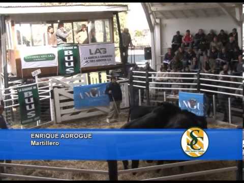 ENRIQUE ADROGUE - Cabaña: La Segunda de Buus - Tres Arroyos - 17/09/2013