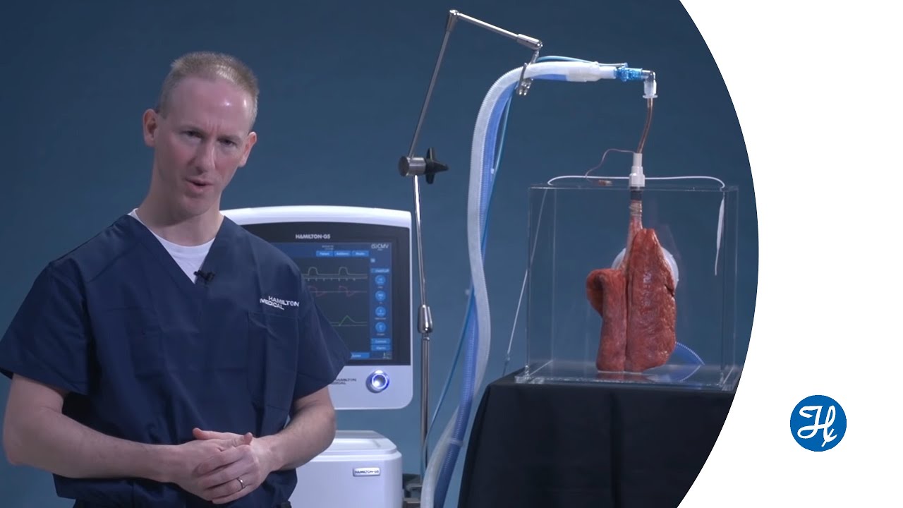 Accurately setting PEEP with transpulmonary pressure