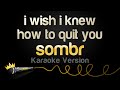Sombr I Wish I Knew How To Quit You Karaoke Version