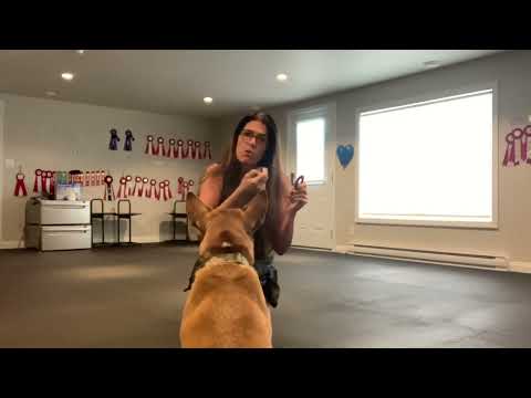 Taz with hand target