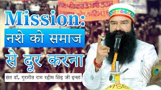 MSG Bhandara Punjab Live | Incarnation Month | Saint Dr MSG | 29th January 2023