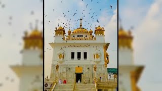 Download lagu Satnam Waheguru🙏🏻 Whatsapp Status Video | Shabad Gurbani Status | Punjabi Dharmik Status Video 2021 mp3