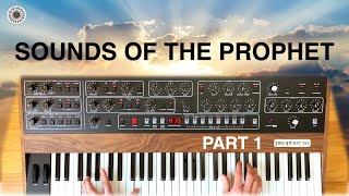 Video thumbnail for Sequential Prophet 5/10: a Musical Exploration by Synth Universe