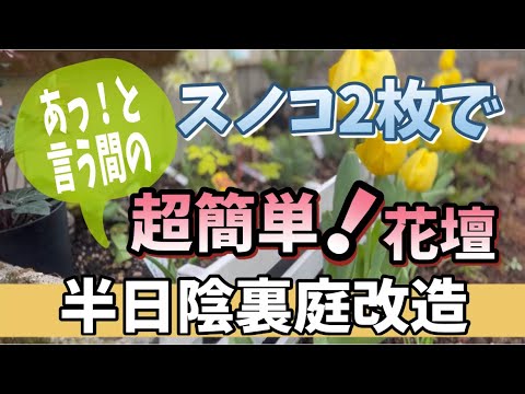 多年生植物 日陰の乾燥した土壌 肺草