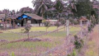 Eden Farm in September 2010 - For sale - Alang-alang, Leyte, Philippines