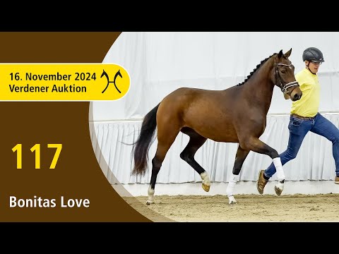 No. 117 Bonitas Love by Bon Vivaldi NRW - Livaldon |Verden Auction Online - Youngster - November, 16