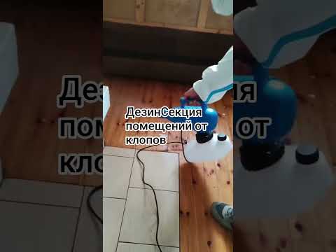 фото дезинфекция уничтожение выведение клопов тараканов 0