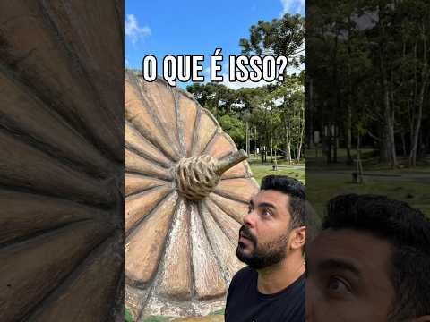 🌲 Conhecendo o parque PINHAL DE SANTANA em Curitiba