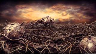 The Kilimanjaro Darkjazz Ensemble - Caos Calmo