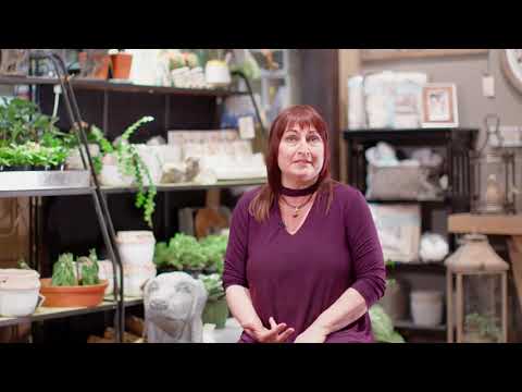 Exploring Main Street - Laura's