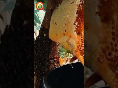 আমরা কেন সেরা এবং আপনার আস্থার বিশ্বস্ত নাম?