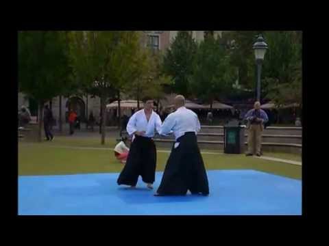 Aikido Sweden with Peter Spangfort Sensei