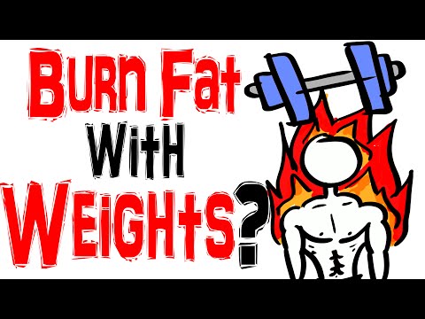 Weight Training VS Low Intensity Cardio  - Best Way to Burn Fat?