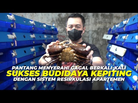 , title : 'Peluang Usaha Budidaya Kepiting 🦀 Pasar Luas, Keuntungan Tak Terbatas ‼️'