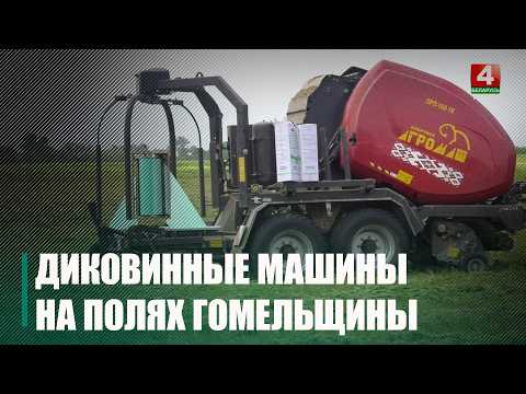 Умные пресс-подборщики с обмотчиками работают на полях Гомельщины