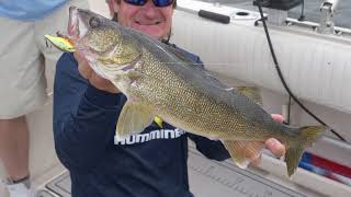 Video thumbnail 2