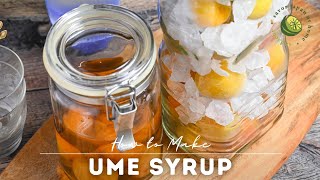 Download lagu How to Make Traditional Japanese Ume Plum Syrup | Homemade Summer Drink mp3 Download lagu How to Make Traditional Japanese Ume Plum Syrup | Homemade Summer Drink mp3