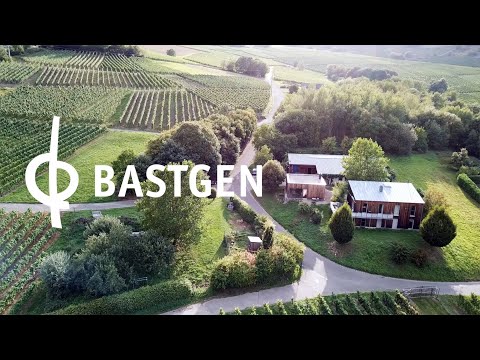 Mosel Weinregion - Weingut Bastgen - Bio Wein - Deutscher Riesling