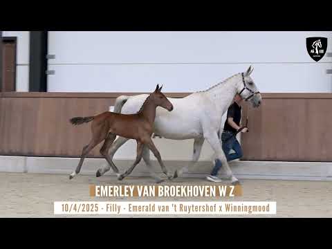 Emerly van Broekhoven W Z