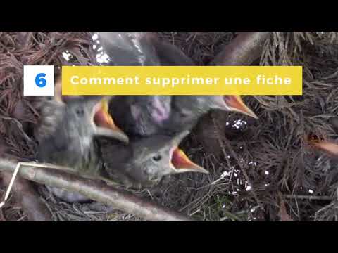Supprimer une fiche