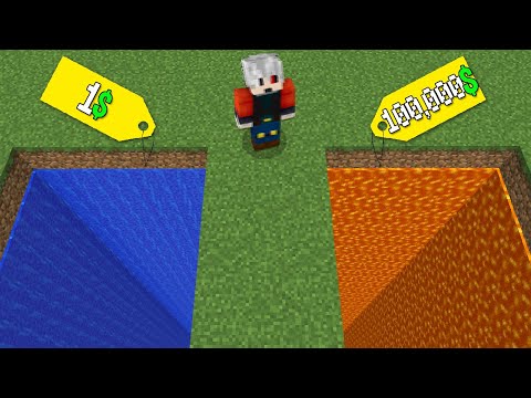 $1 PIT VS $100,000 PIT - Minecraft