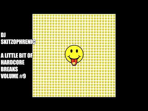 Dj Skitzophrenic - A Little Bit Of Hardcore Breaks Volume #9