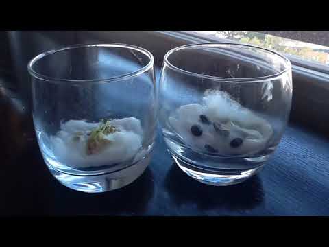 Las consecuencias de nuestros hábitos de consumo