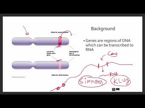 Genetics introduction - live Class Part 1| Forward Genetics ,Reverse Genetics & more  | #iflyNetGate