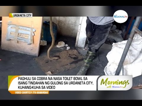 Mornings with GMA Regional TV: Paghuli sa Cobra, Sapul sa Video
