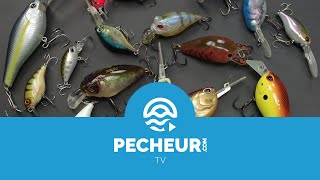 Quels leurres pour débuter la pêche des carnassiers ? Tutoriel Pecheur.com